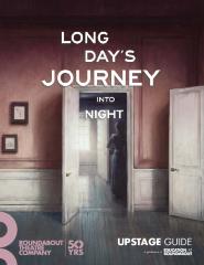 Study Guide for A Long Day's Journey Into Night (2016) 
