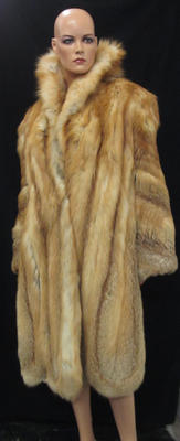 Red Fur with Gold Lining (Old Acquaintance) (2011.150.34)
